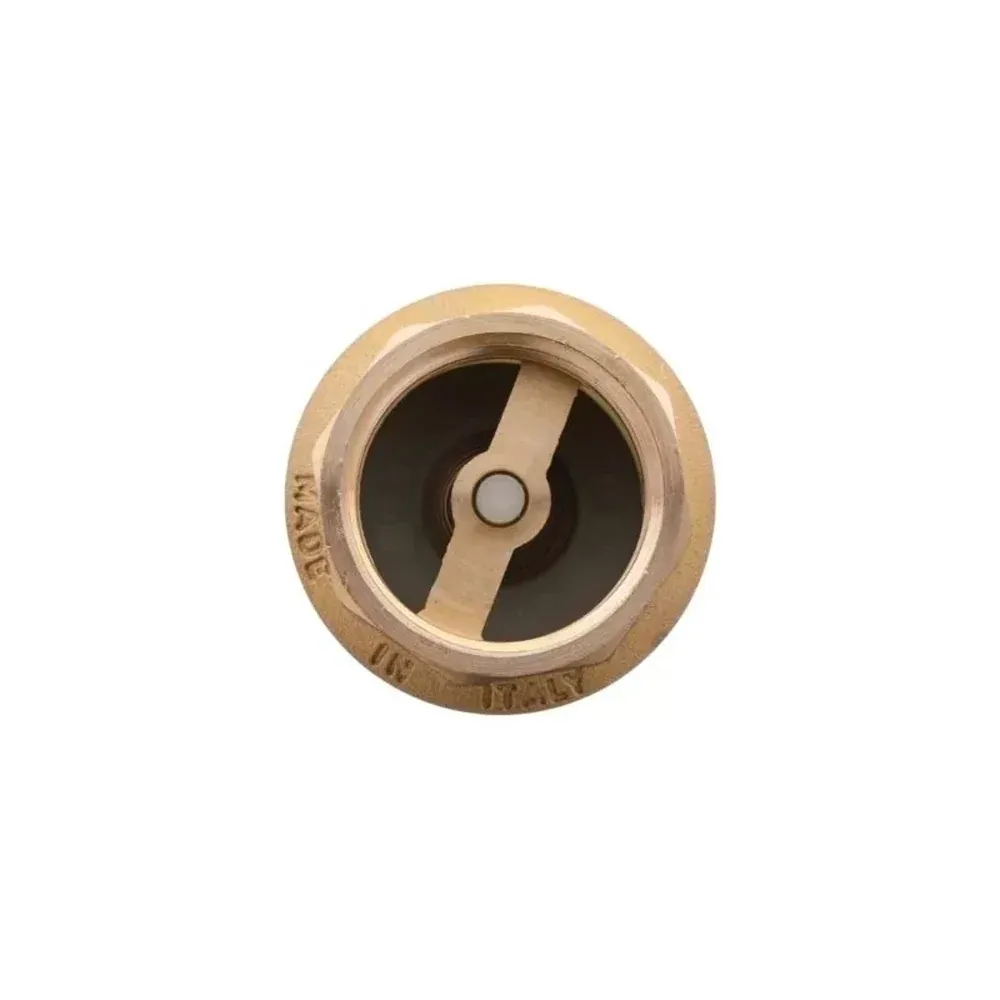 Valvola Di Ritegno Molla Con Inserto Pvc 1"1/4