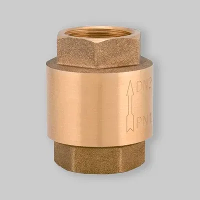 Valvola Di Ritegno Molla Con Inserto Pvc 2"1/2