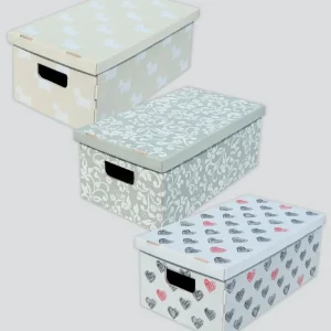 SCATOLA CARTONE 29X51X20H DOGGY CF3