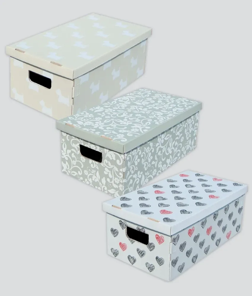 SCATOLA CARTONE 29X51X20H DOGGY CF3