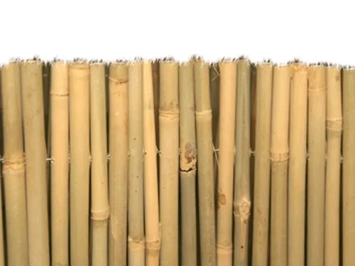 Arelle Brixo Master bamboo. Prezzo per Pezzo.