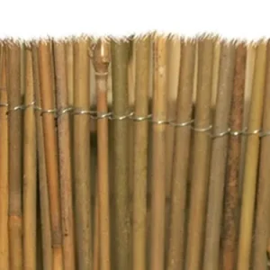 Arelle Brixo Mister bamboo. Prezzo per Pezzo.