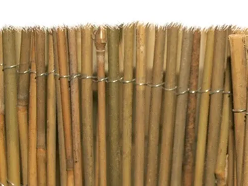 Arelle Brixo Mister bamboo. Prezzo per Pezzo.