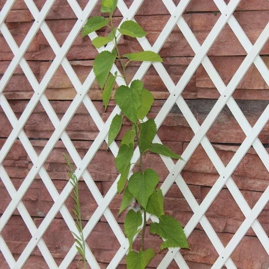 Metro Nastro Autobloccante Traliccio estensibile parete PVC da giardino 1 mt