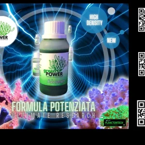 Green Power NEW