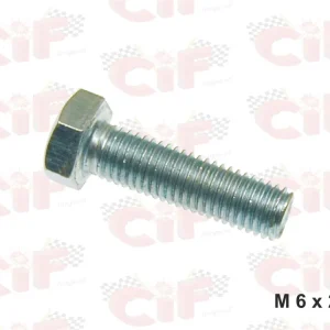 Perno vite testa esagonale M6X25mm