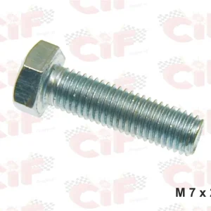 Vite perno testa esagonale M7X25mm