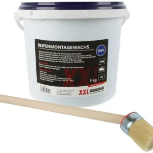 Stahlmaxx 5kg cera di montaggio pasta per montaggio pneumatici con pennello blu XXL-116955