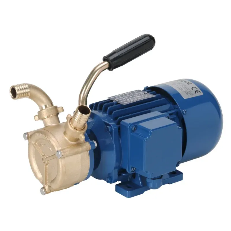 POMPA BRONZO 12 VOLTS - 1616623 - LIVERANI