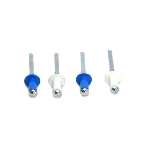 RIVETTI TARGA BIANCHI E BLU