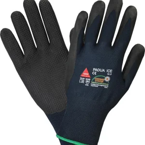 Hase Safety PADOVA ICE 100% nailon CE CAT II EN 420 EN 388 taglia: 8 UI: 12 paia 508660-8