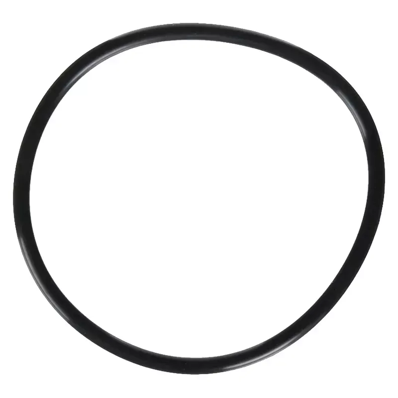 Guarnizione coperchio prefiltro pompa Zodiac FloPro / E3iQ R0480201