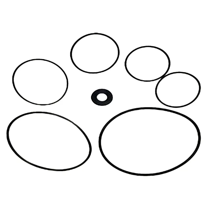 Set di guarnizioni per la pompa Astralpool Maxim. Rif. 4405010303