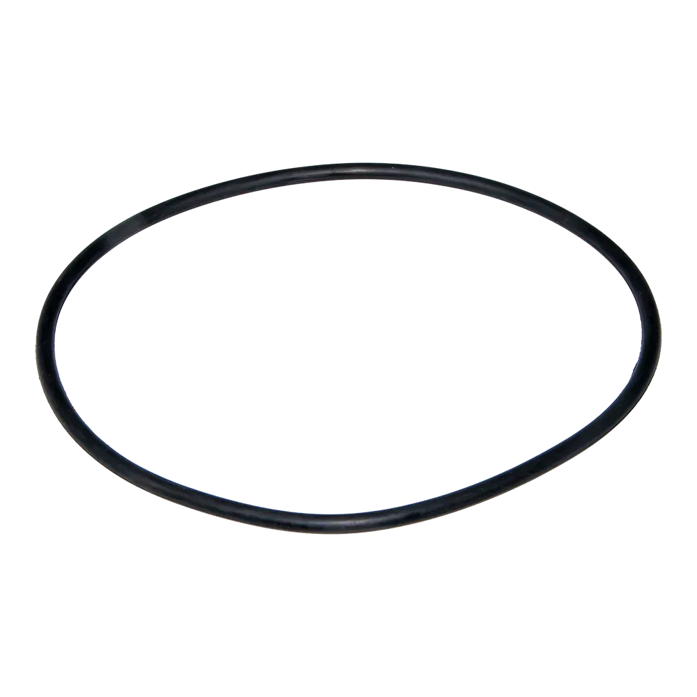 Guarnizione coperchio filtro piscina ASTRALPOOL Berlin
