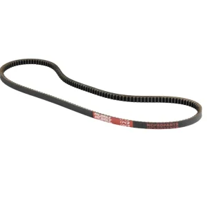 Cinghia trasmissione Piaggio Si Boxer 50 con variatore - Lunghezza 1143mm