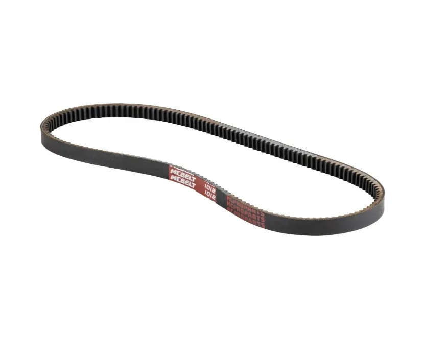Cinghia trasmissione Piaggio Ciao 50 con variatore - Lunghezza 1012mm