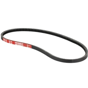 Cinghia trasmissione Piaggio Ciao 50 con variatore - Lunghezza 978mm