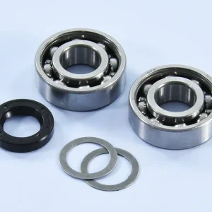 Kit revisione cuscinetti albero motore polini Piaggio Ciao Si Bravo Boss Boxer 50