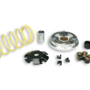 Kit multivar variatore Malossi 2000 Piaggio Zip Sfera 50 2T