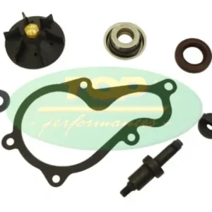 Kit revisione pompa acqua Beverly 350cc