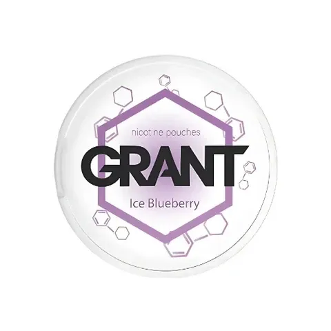 Garant Ice Blueberry con Caricatore USB-C