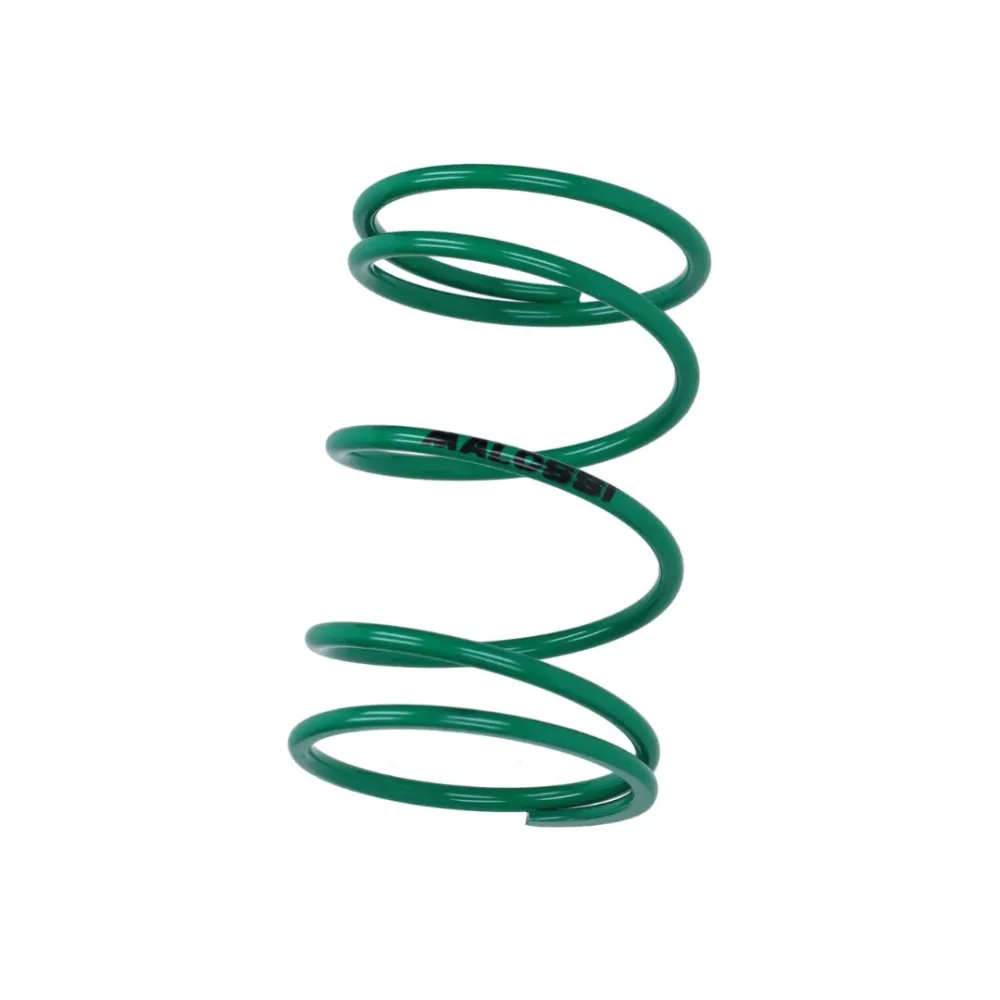 Malossi Press Ferry Green +60% Piaggio e Vespa 2/4 Stite
