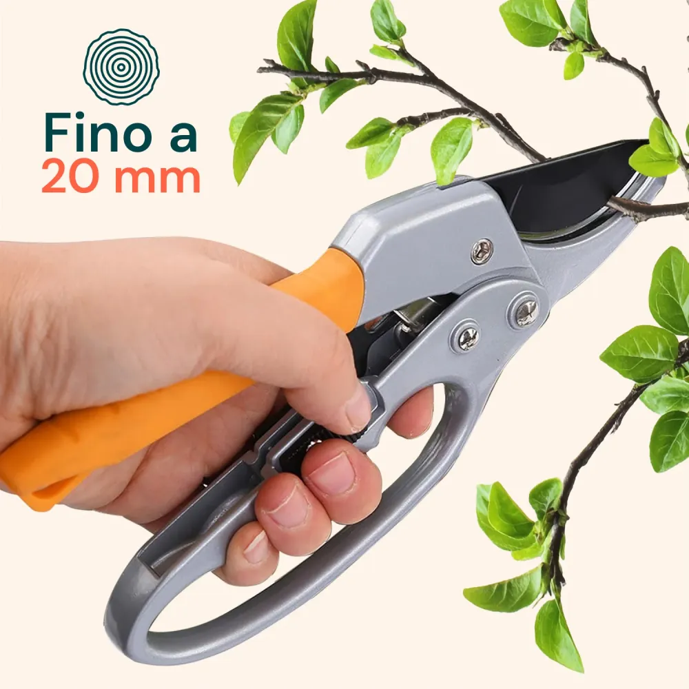 Forbici Da Giardino Con Lame Acciaio Al Carbonio