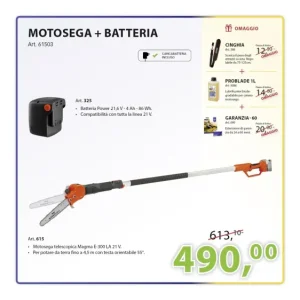KIT MOTOSEGA TELESCOPICA + BATTERIA