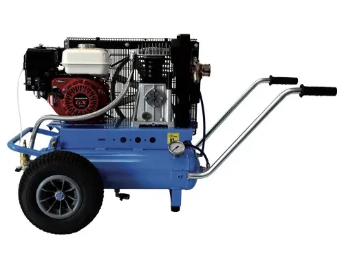 Moto compressori Air Power Forza7 Twin Lt. 22 per scuotitori. Prezzo per Pezzo.