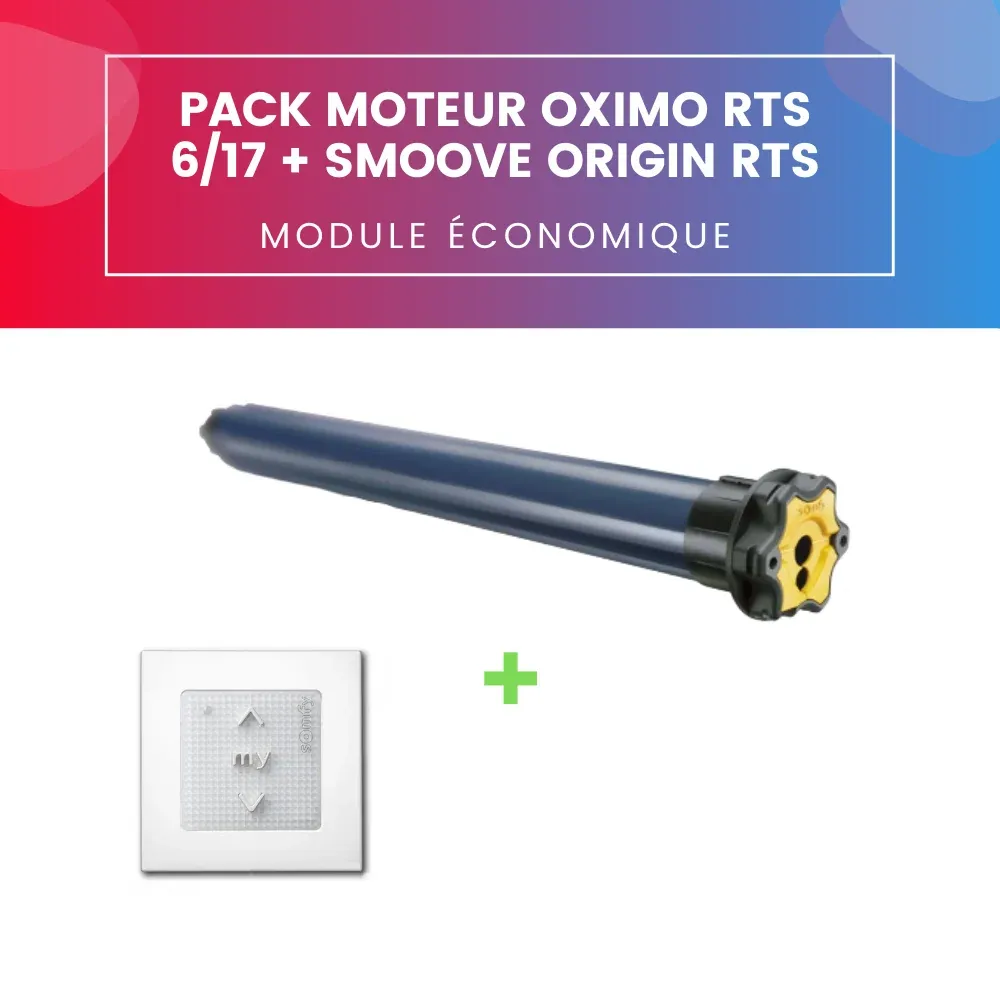 Pacchetto motore OXIMO RTS 6/17 + controllo SMOOVE ORIGIN RTS