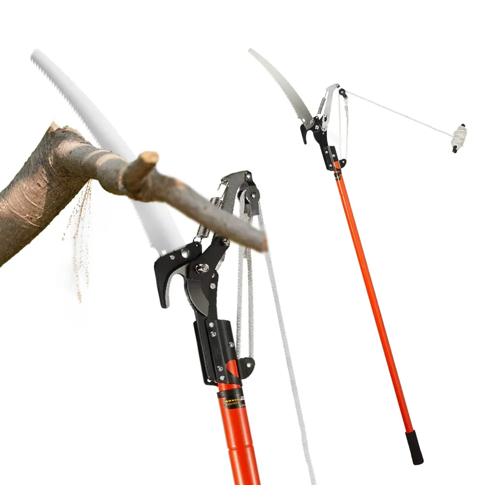 Svettatoio con Asta Telescopica 2,4 m, Sega Acciaio e Corda Nylon