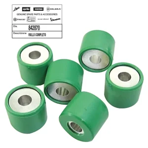 Kit 6 rulli originali 21x17 GR 11.5 Aprilia - Gilera - Piaggio
