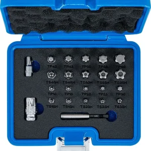 SET 23 PEZZI TORX PLUS ED IPR BGS5056