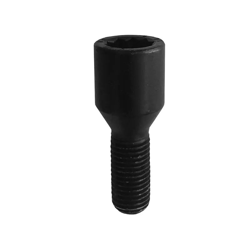 Vite stellari chiave SW20, sede conica 60°, 14 x 1.25 x 27 mm - Black