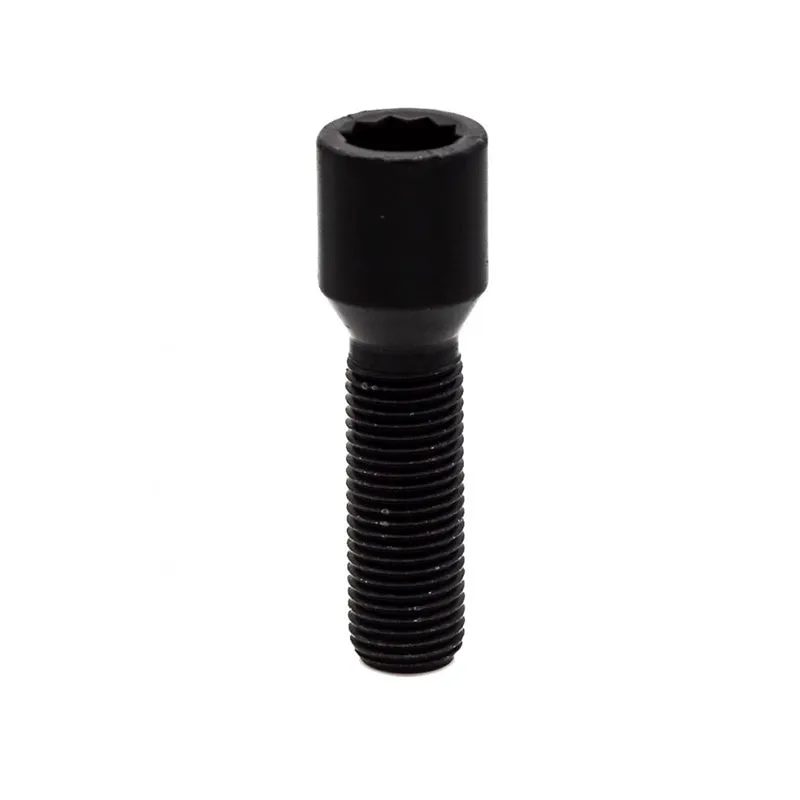 Vite stellari chiave SW20, sede conica 60°, 12 x 1.25 x 28 mm - Black